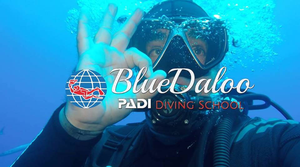 Bluedaloo Diving PADI Resort
5.0·5 reviews